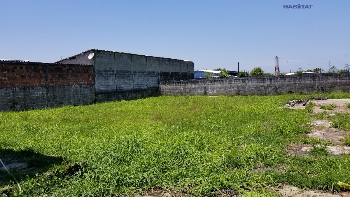 Fazenda à venda com 3 quartos, 1020m² - Foto 22