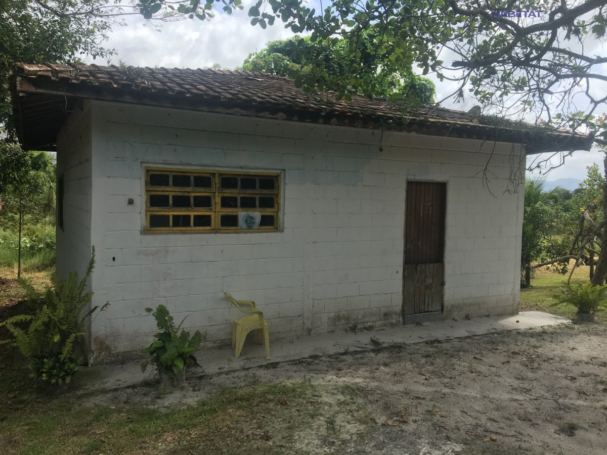 Fazenda à venda com 2 quartos, 6000m² - Foto 6