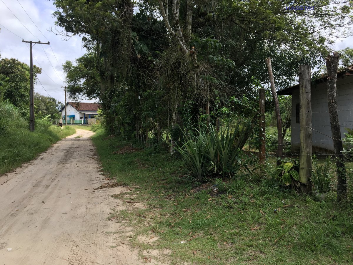 Fazenda à venda com 2 quartos, 6000m² - Foto 11