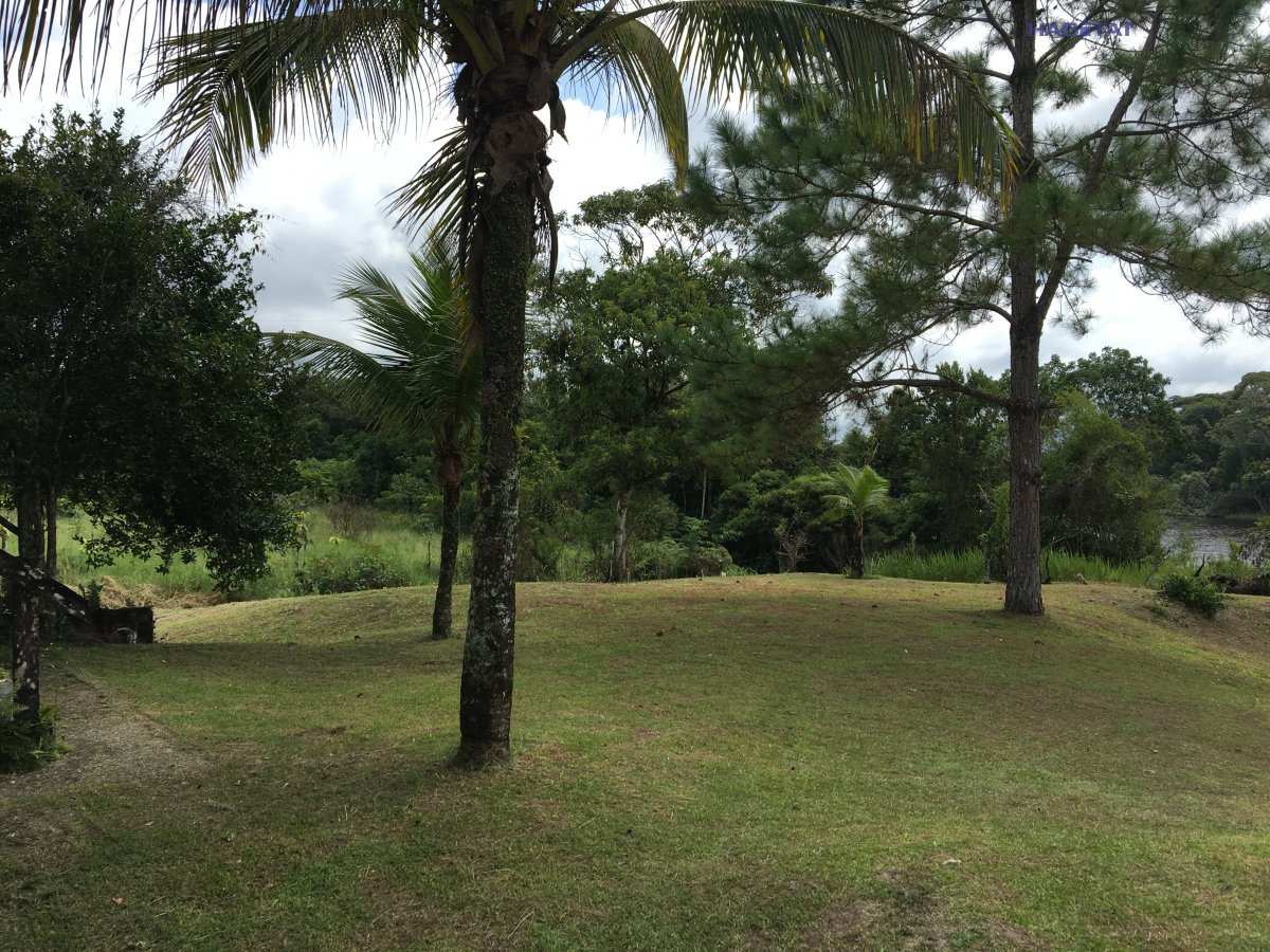 Fazenda à venda com 2 quartos, 6000m² - Foto 17