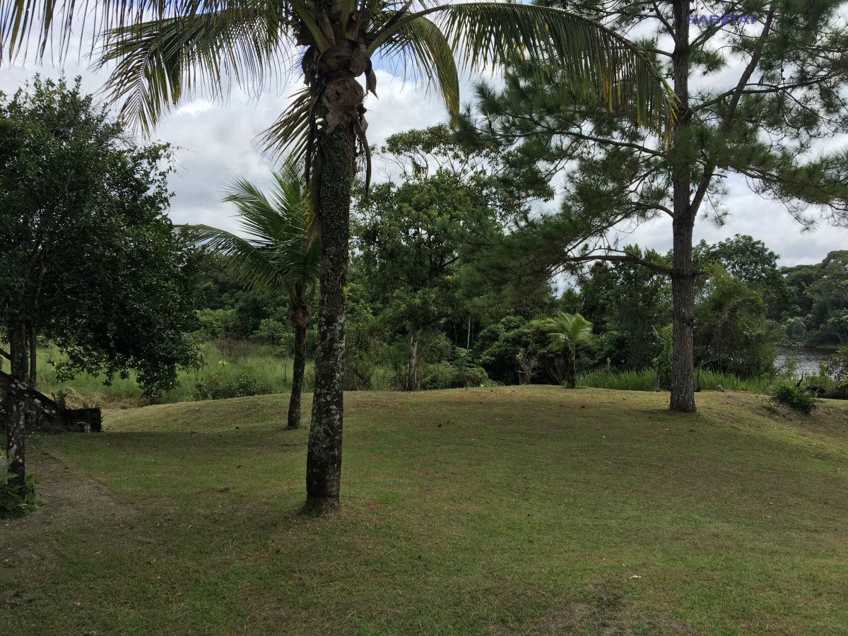 Fazenda à venda com 2 quartos, 6000m² - Foto 18