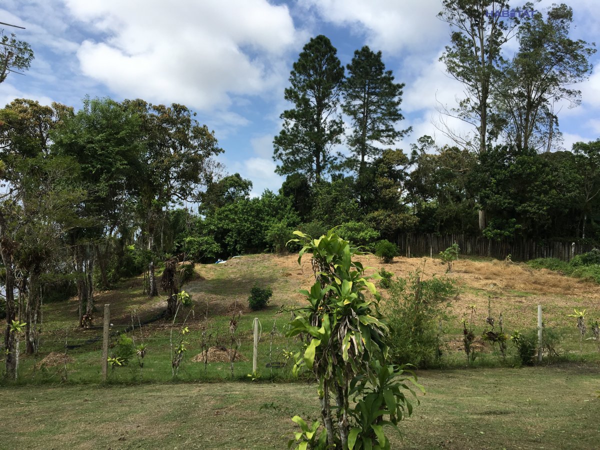 Fazenda à venda com 2 quartos, 6000m² - Foto 24