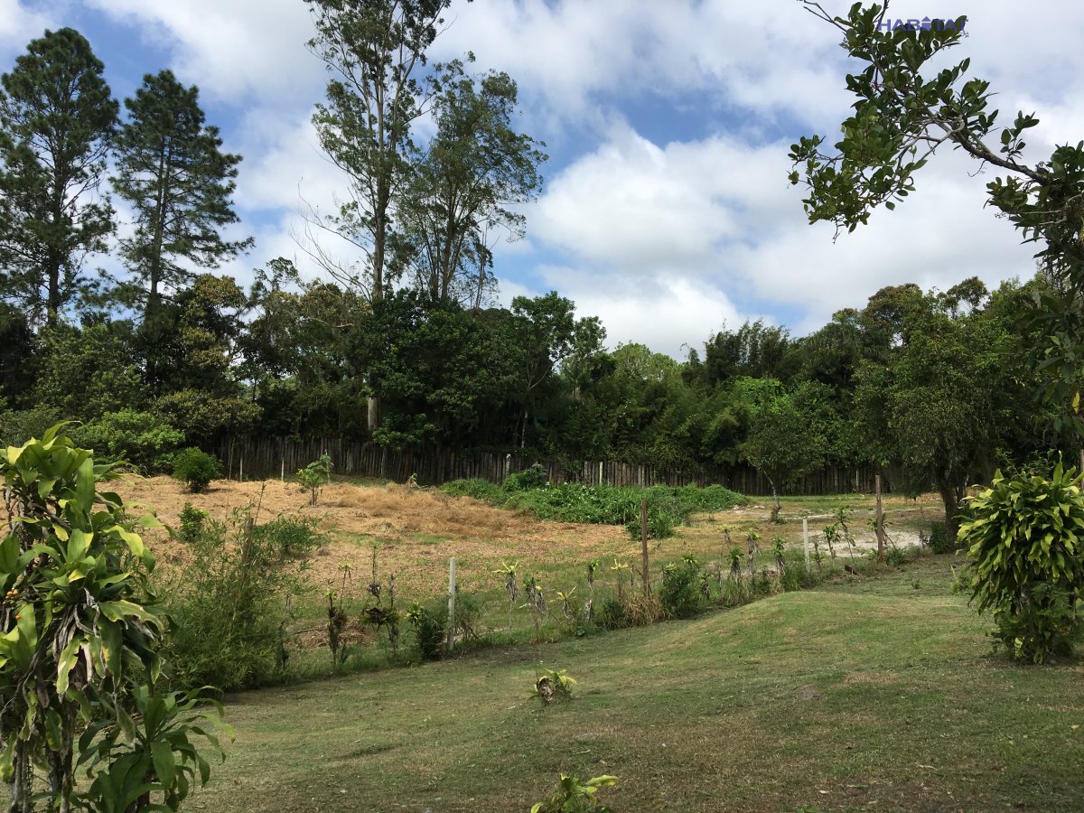 Fazenda à venda com 2 quartos, 6000m² - Foto 25