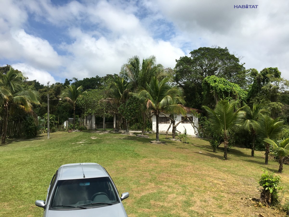 Fazenda à venda com 2 quartos, 6000m² - Foto 27