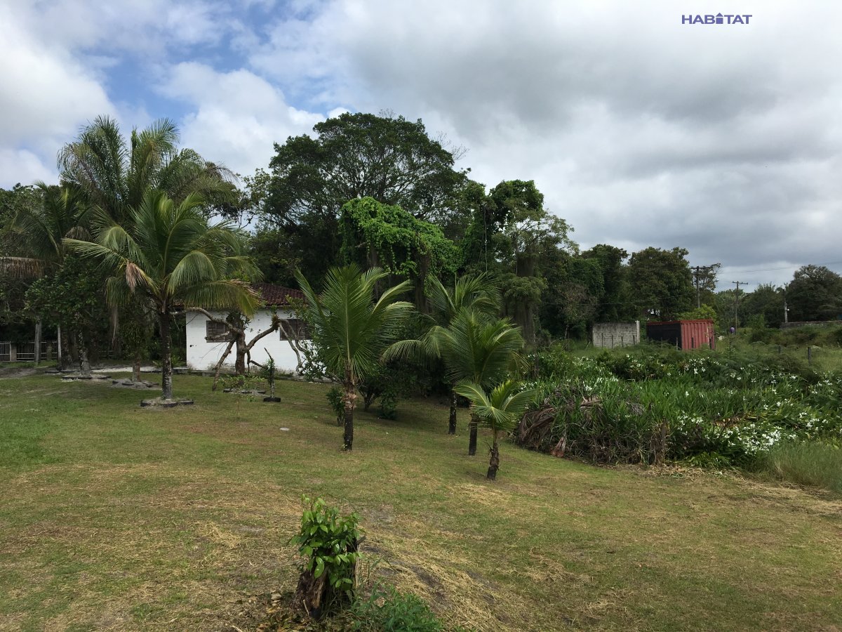 Fazenda à venda com 2 quartos, 6000m² - Foto 32