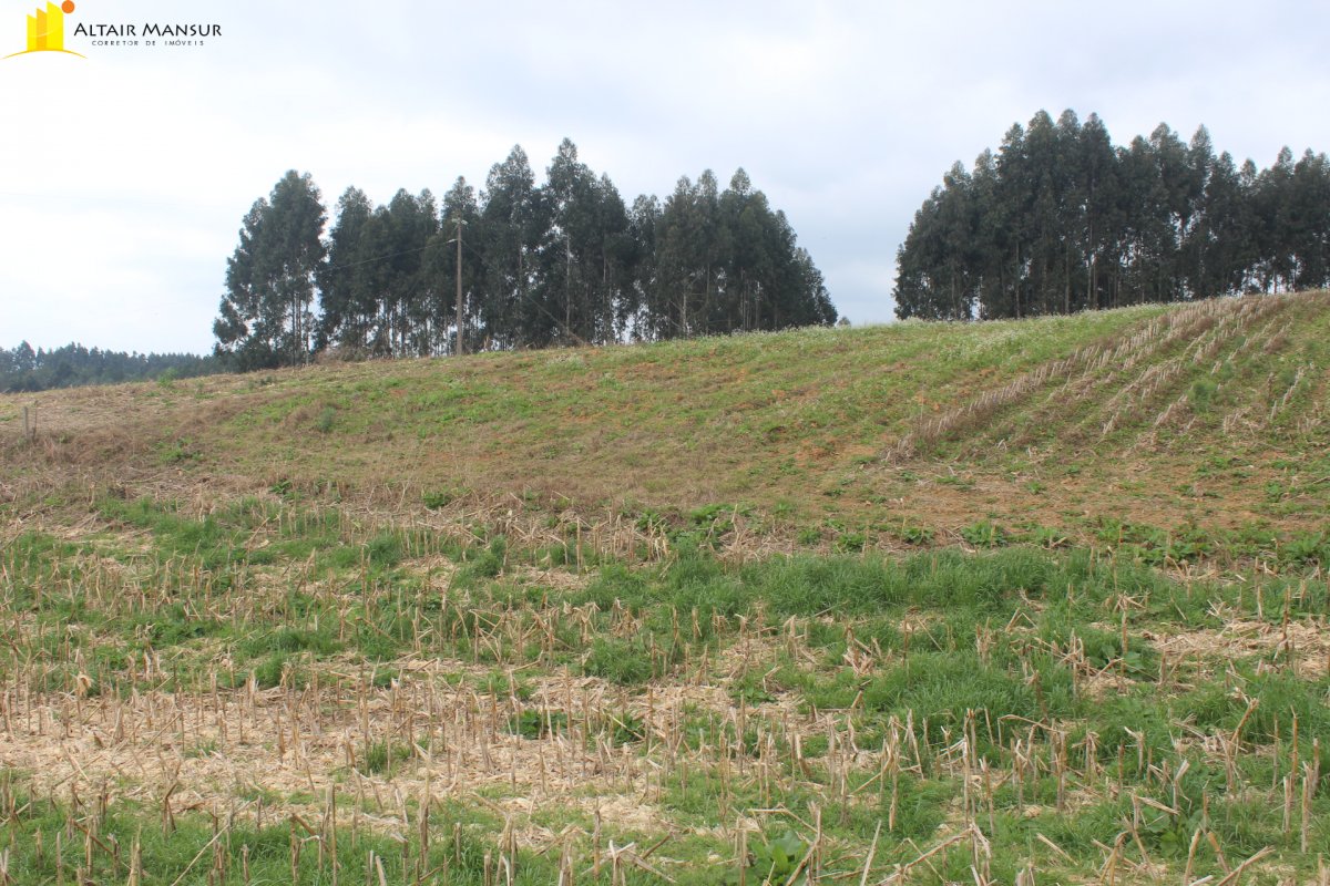 Terreno/Lote  venda  no Ribeiro do Meio - Tijucas do Sul, PR. Imveis