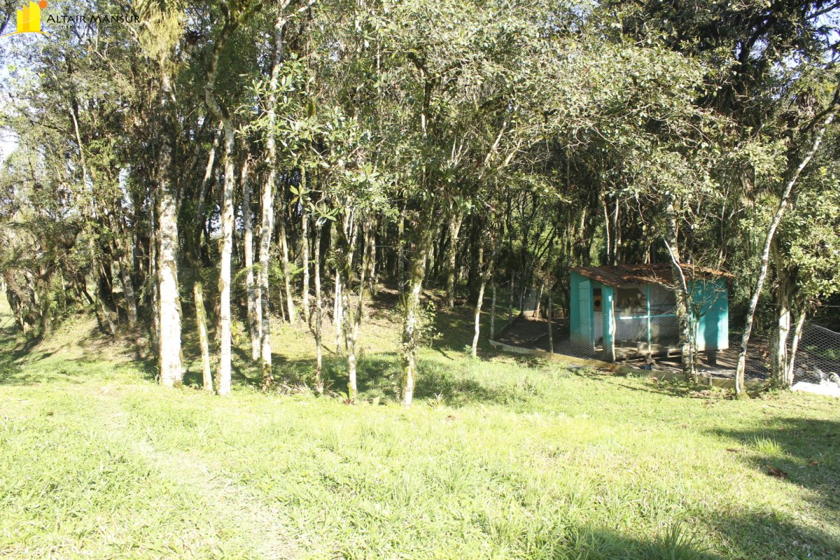 Fazenda/sítio/chácara/haras com 4 Dormitórios à venda, 15.000 m² por R$ 550.000,00