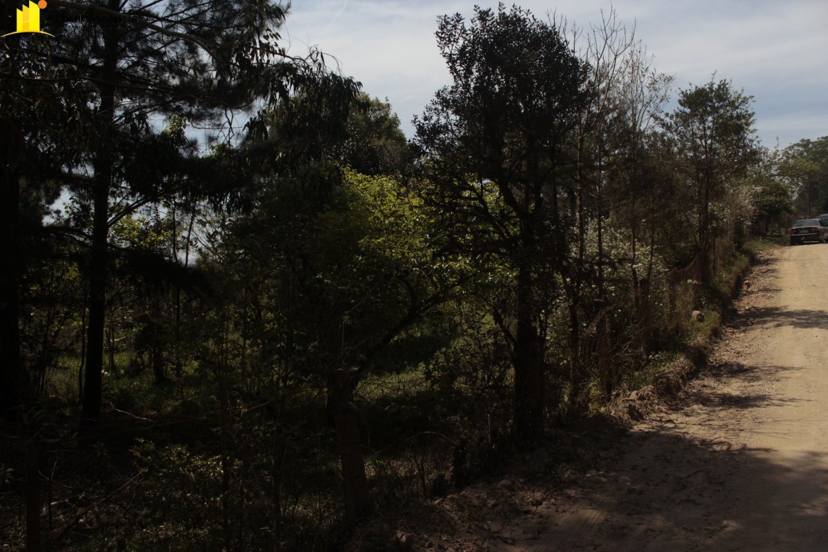 Terreno/Lote  venda  no Cangoera - Tijucas do Sul, PR. Imveis