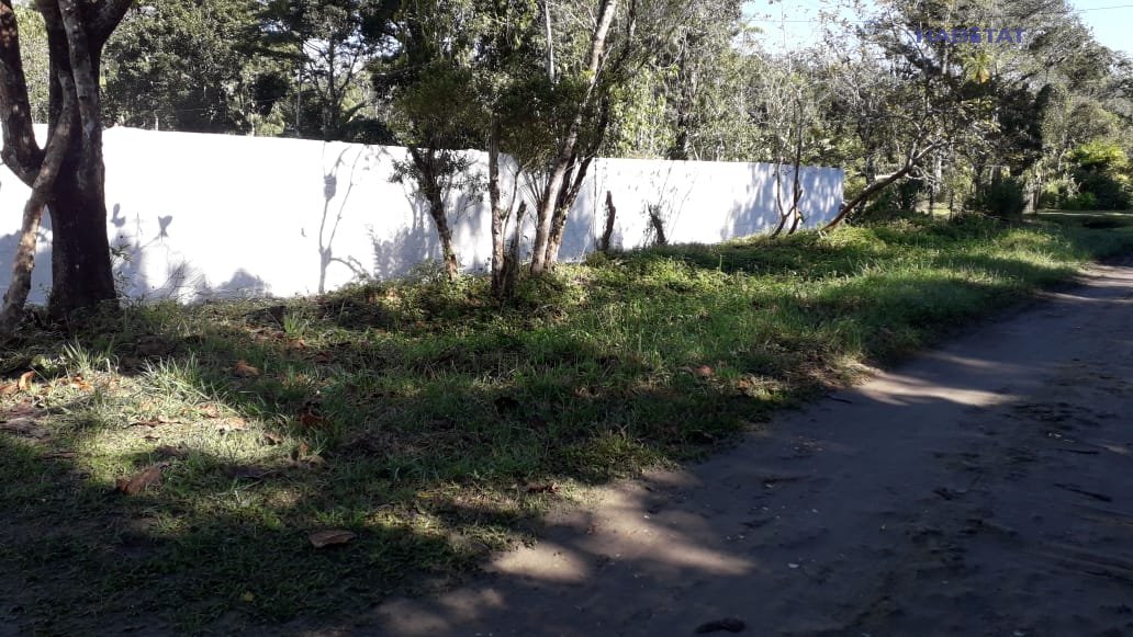 Fazenda à venda com 2 quartos, 4661m² - Foto 10