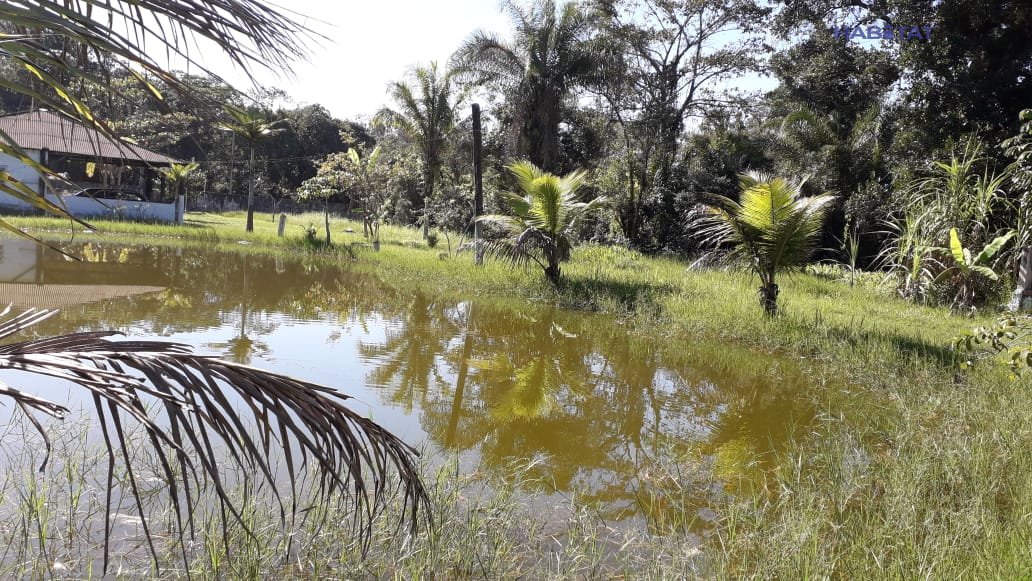 Fazenda à venda com 2 quartos, 4661m² - Foto 8