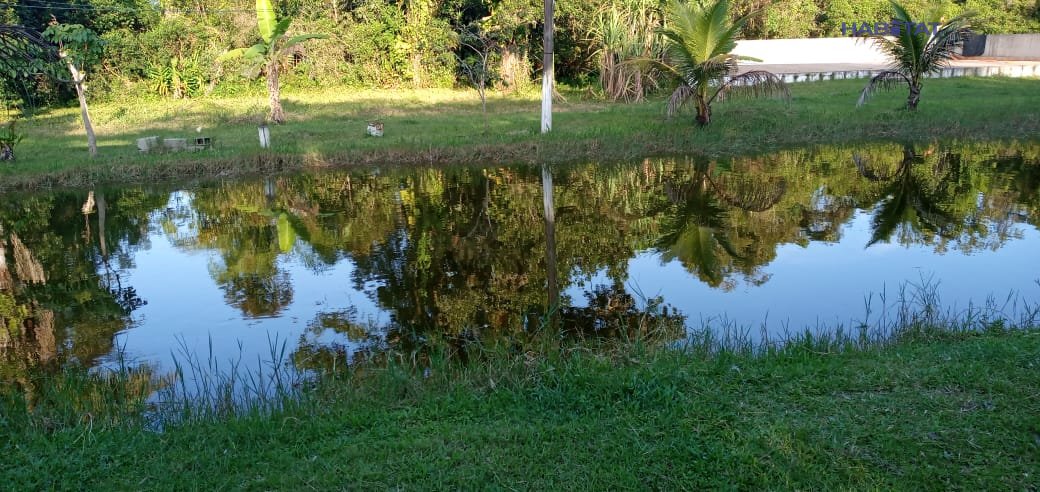 Fazenda à venda com 2 quartos, 4661m² - Foto 27