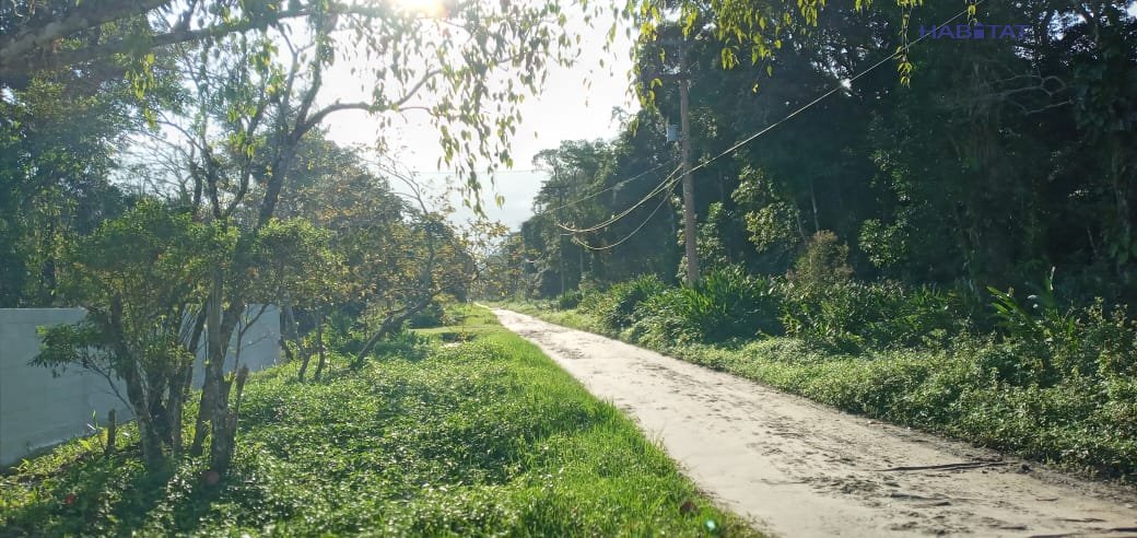 Fazenda à venda com 2 quartos, 4661m² - Foto 34