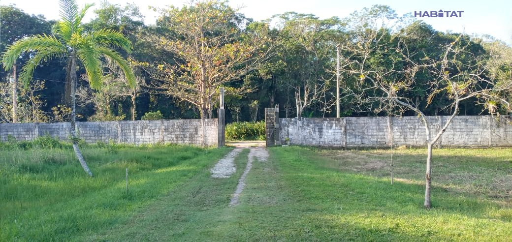 Fazenda à venda com 2 quartos, 4661m² - Foto 36