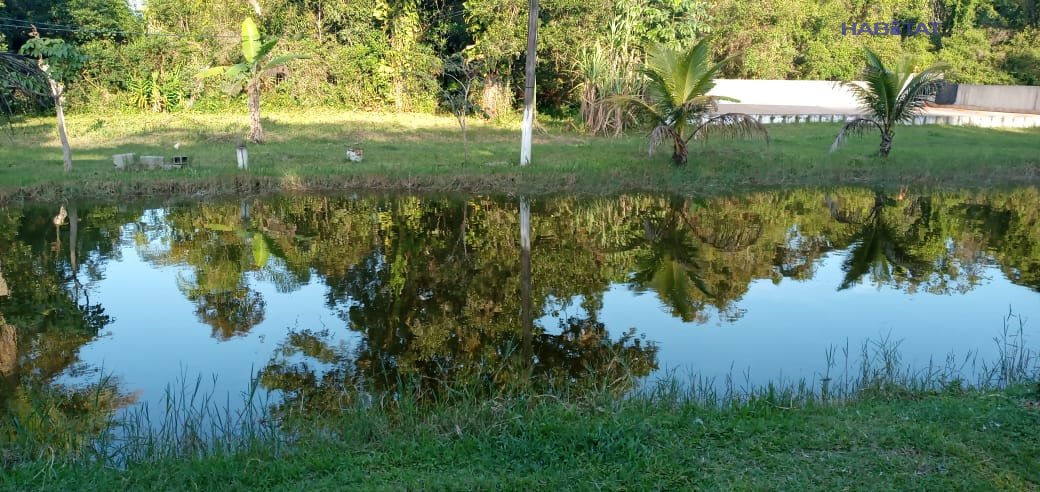 Fazenda à venda com 2 quartos, 4661m² - Foto 37