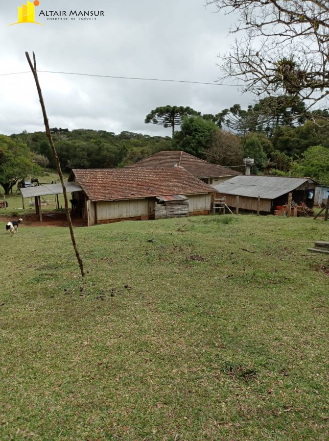 Fazenda/stio/chcara/haras  venda  no Campo Alto - Tijucas do Sul, PR. Imveis