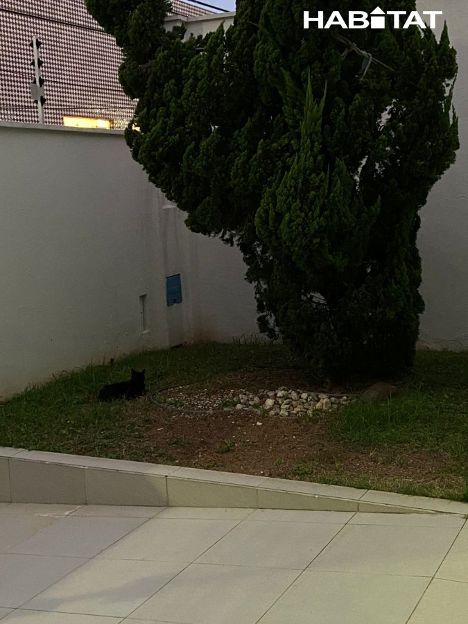 Casa à venda com 3 quartos, 250m² - Foto 15