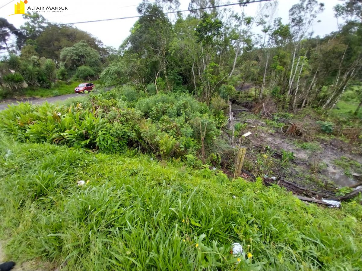 Terreno/Lote  venda  no Lagoa - Tijucas do Sul, PR. Imveis